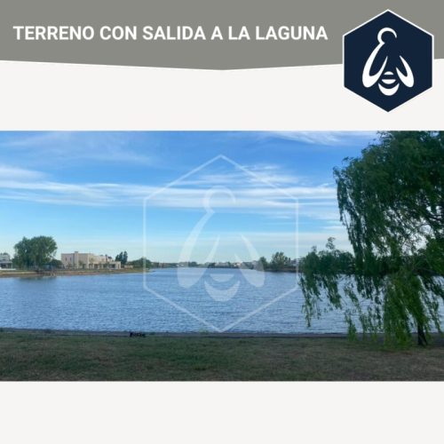 00fcd458-9f06-4823-b446-edc9746d9e30