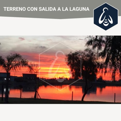 0978d2b7-95d8-47cd-986e-615839e121e1