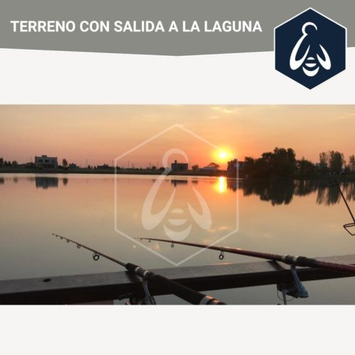 6854c85f-2732-4faf-9e03-f2c88414fdc1