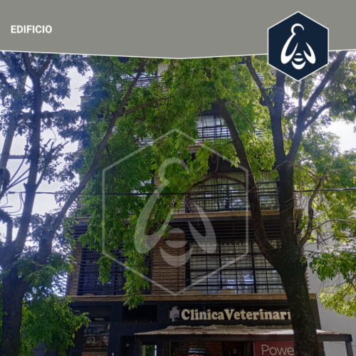 JOSE-MARIA-180-EZEIZA-2