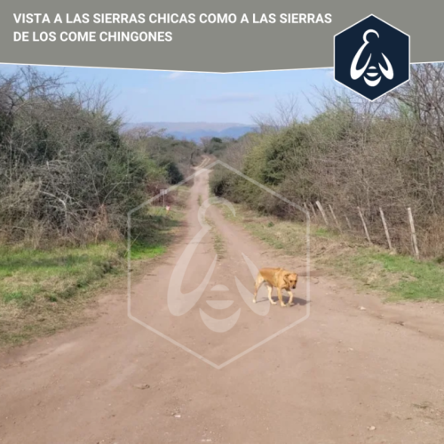 JOSE-MARIA-180-EZEIZA-3