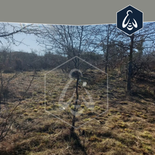 JOSE-MARIA-180-EZEIZA-9-1