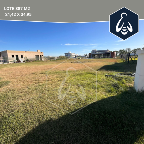 LA-ALAMEDA-LOTE-408-2