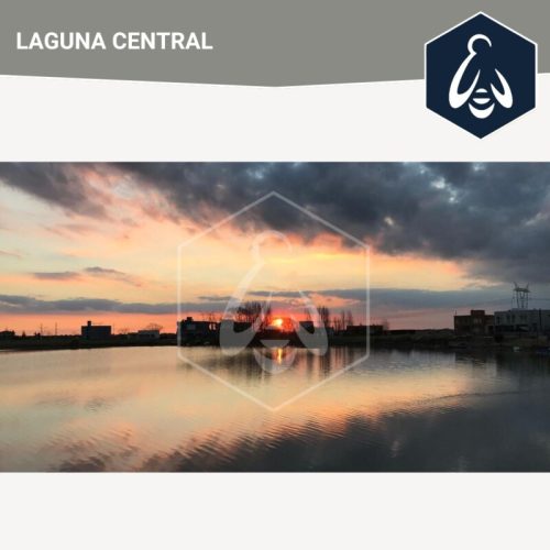 b79fd439-7534-4773-8e06-4bcecc5bb587