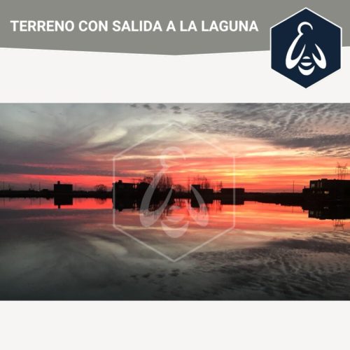 cba29fe2-1cc3-4105-b31f-f1ac8848a38c